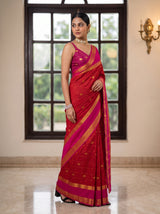 MIMOSA Red Saree Saree — pose 5 styling detail
