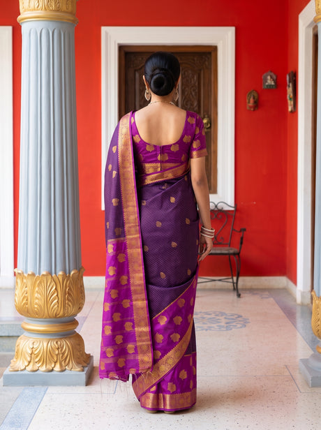 MIMOSA Jamun Saree Saree — pose 2 styling detail