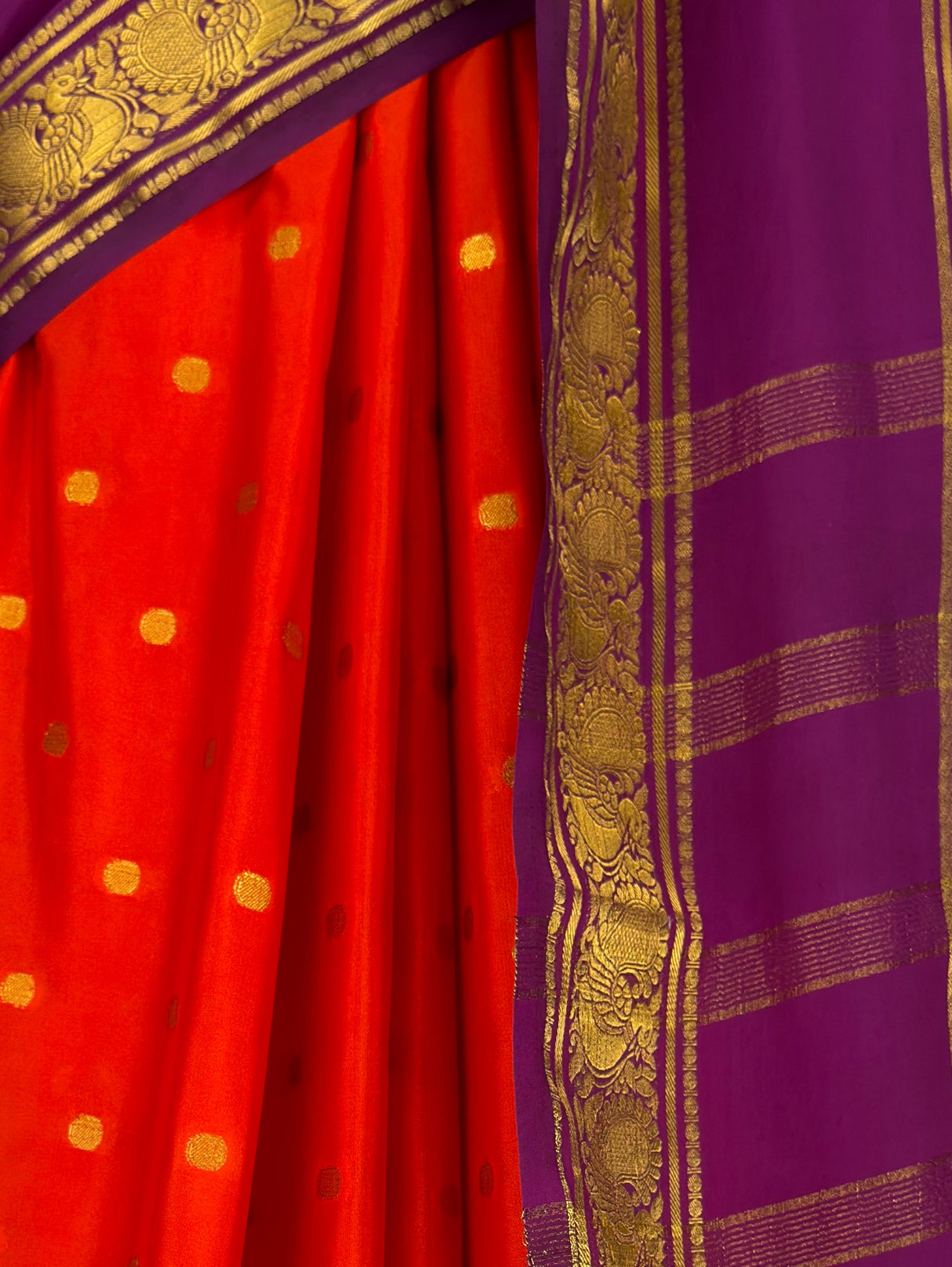 MIMOSA Orange Saree Saree — fleets shot full lifestyle