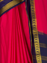 MIMOSA Rani Saree Saree — fleets shot full lifestyle