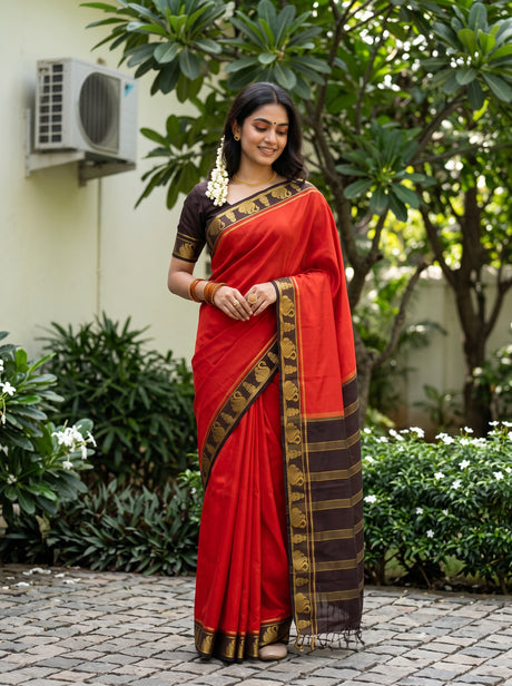 MIMOSA Orange Saree Saree — front view on mannequin