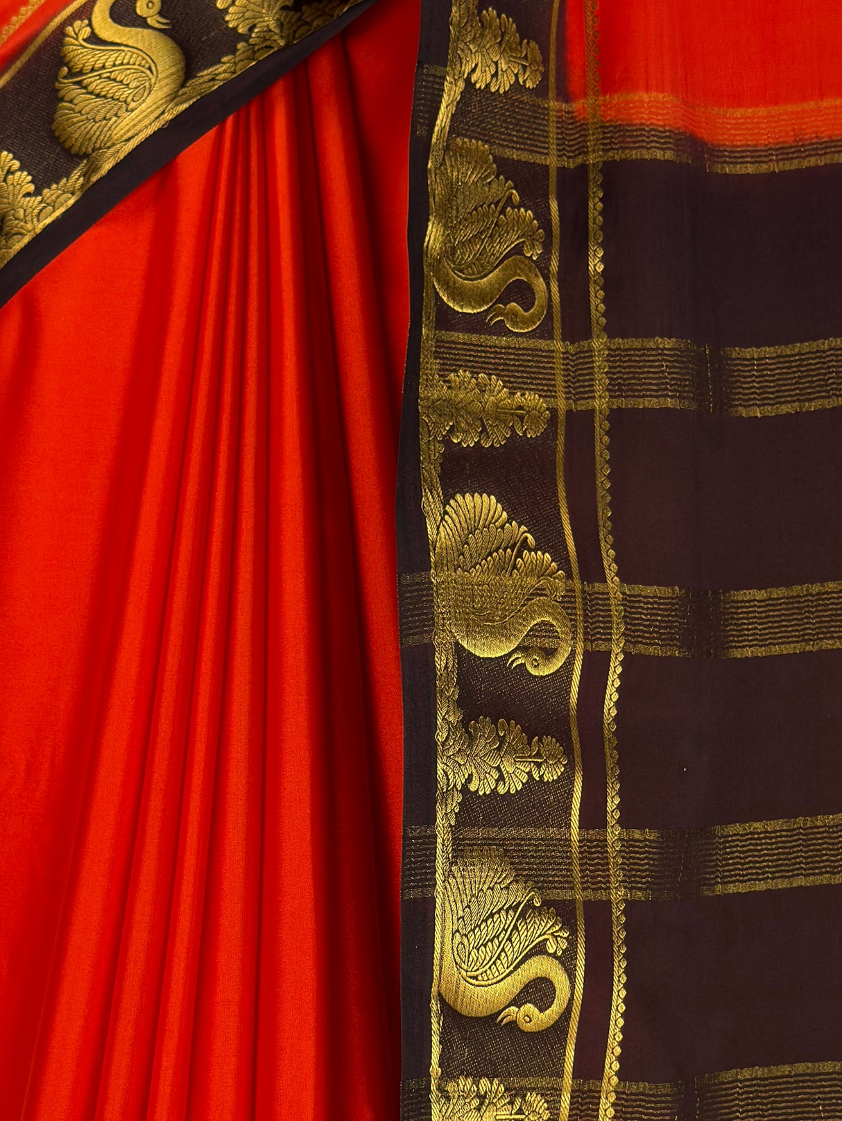 MIMOSA Orange Saree Saree — fleets shot full lifestyle