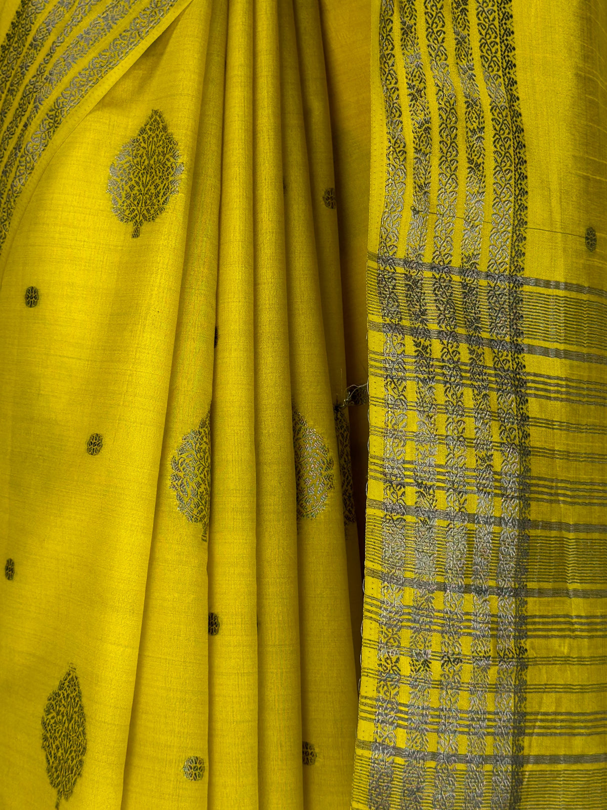 MIMOSA Lemon Banarasi tusser Saree — fleets shot full lifestyle