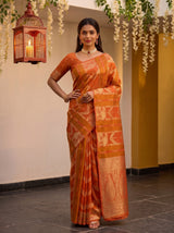 MIMOSA Peach Saree Saree — pose 4 styling detail