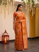 MIMOSA Peach Saree Saree — pose 9 styling detail