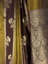 MIMOSA Chocolate Saree Saree — fleets shot full lifestyle