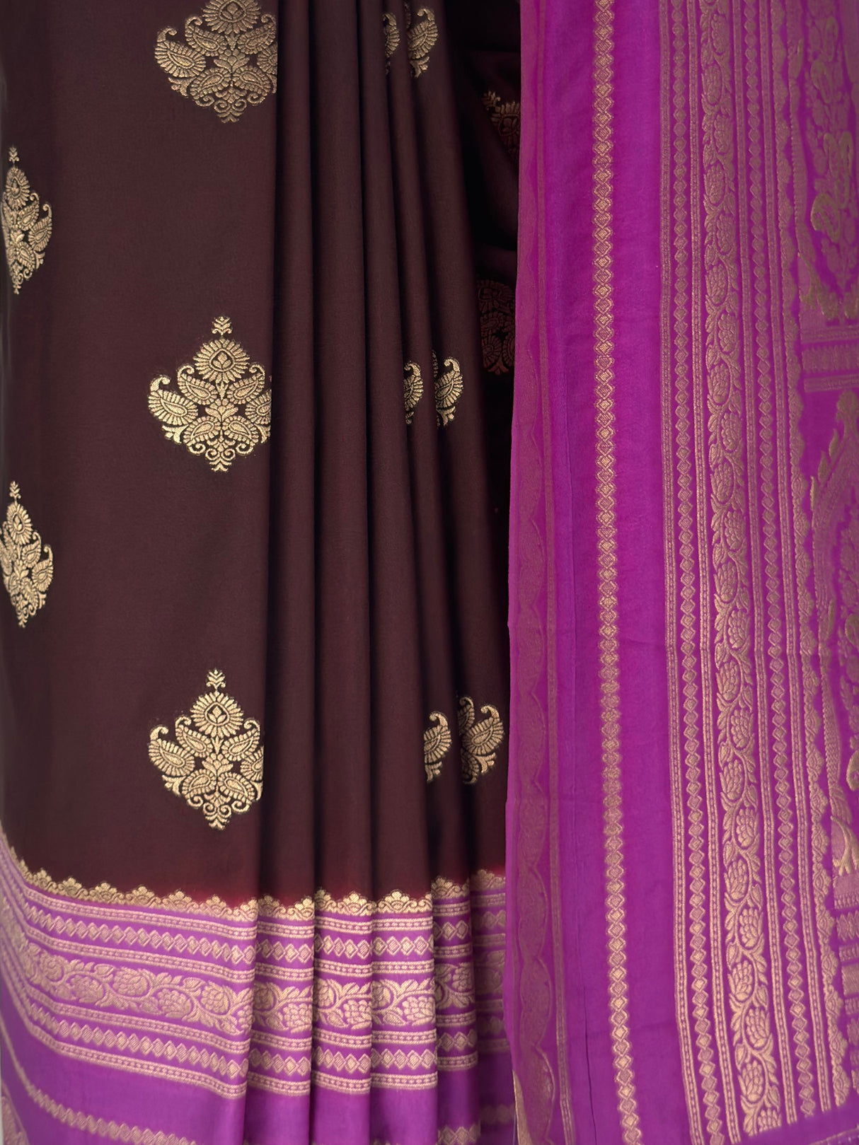 MIMOSA Chocolate Mysore Silk crepe Saree — fleets shot full lifestyle
