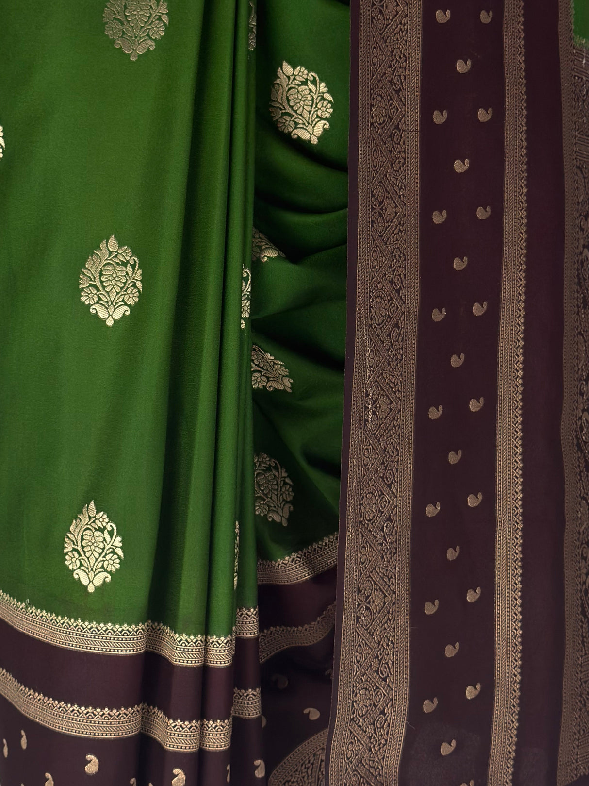 MIMOSA Green Saree Saree — fleets shot full lifestyle