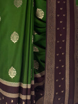 MIMOSA Green Saree Saree — fleets shot full lifestyle