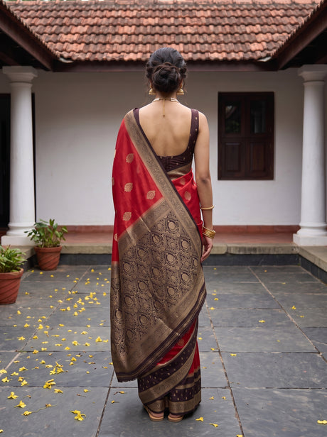 MIMOSA Rust Saree Saree — pose 2 styling detail