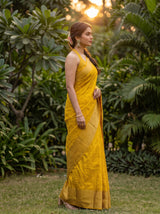 MIMOSA Gold Saree Saree — pose 3 styling detail