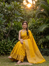 MIMOSA Gold Saree Saree — pose 8 styling detail