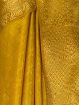 MIMOSA Gold Saree Saree — fleets shot full lifestyle