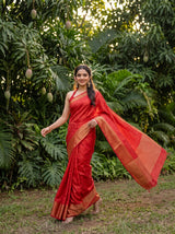 MIMOSA Strawberry Saree Saree — pose 6 styling detail