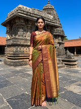 MIMOSA Olive Saree Saree — front view on mannequin
