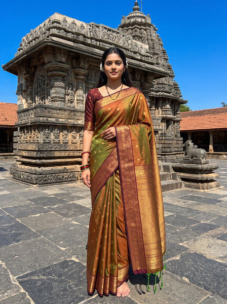 MIMOSA Olive Saree Saree — front view on mannequin