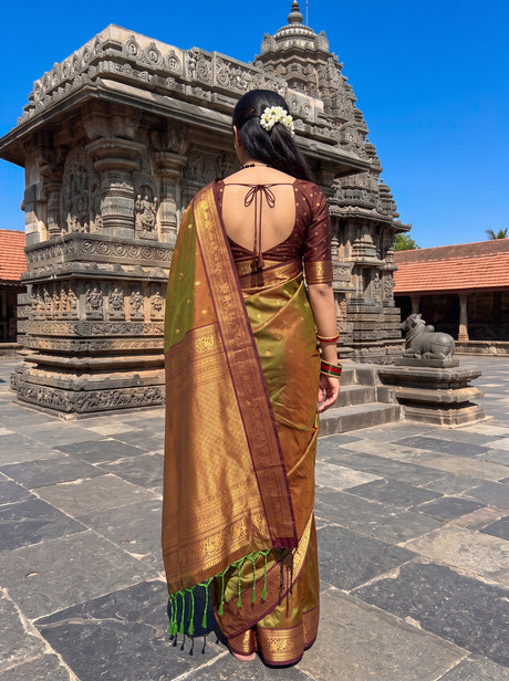 MIMOSA Olive Saree Saree — pose 2 styling detail