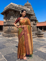 MIMOSA Olive Saree Saree — pose 4 styling detail