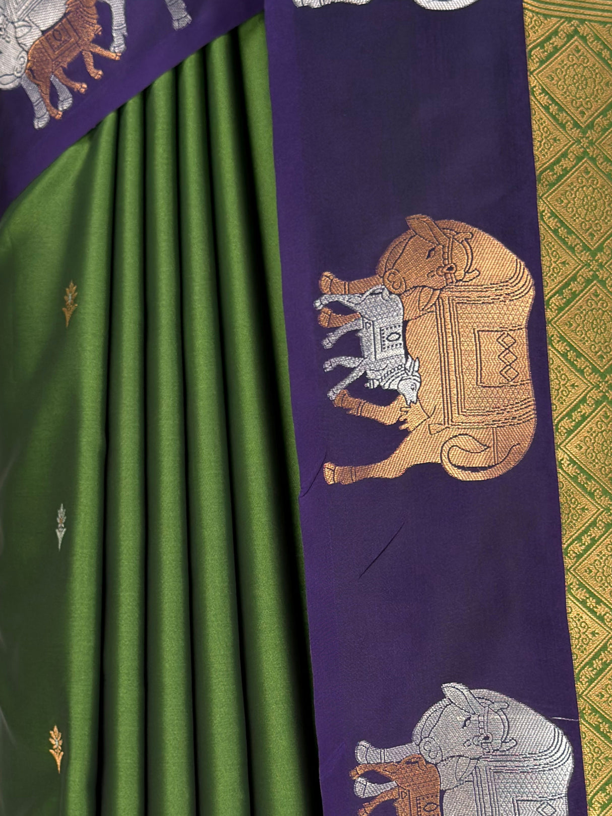 MIMOSA Green Saree Saree — fleets shot full lifestyle