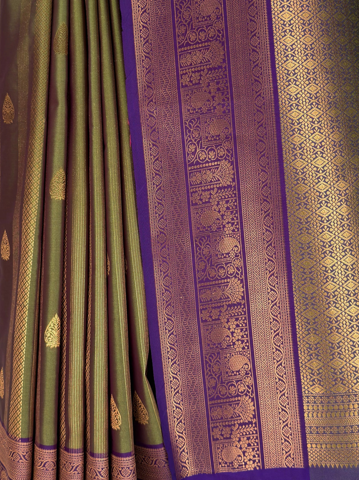 MIMOSA Green Saree Saree — fleets shot full lifestyle