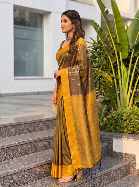 MIMOSA Chiku Saree Saree — pose 3 styling detail