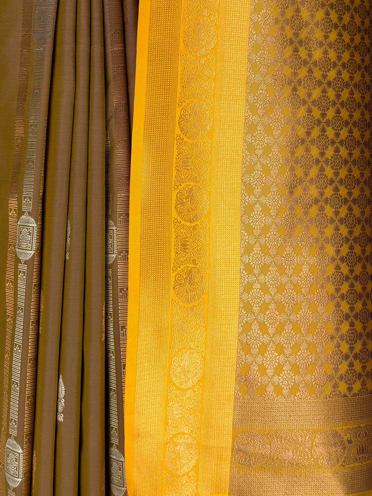 MIMOSA Chiku Saree Saree — fleets shot full lifestyle