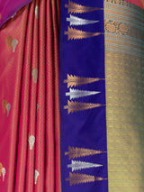 MIMOSA Rani Saree Saree — fleets shot full lifestyle