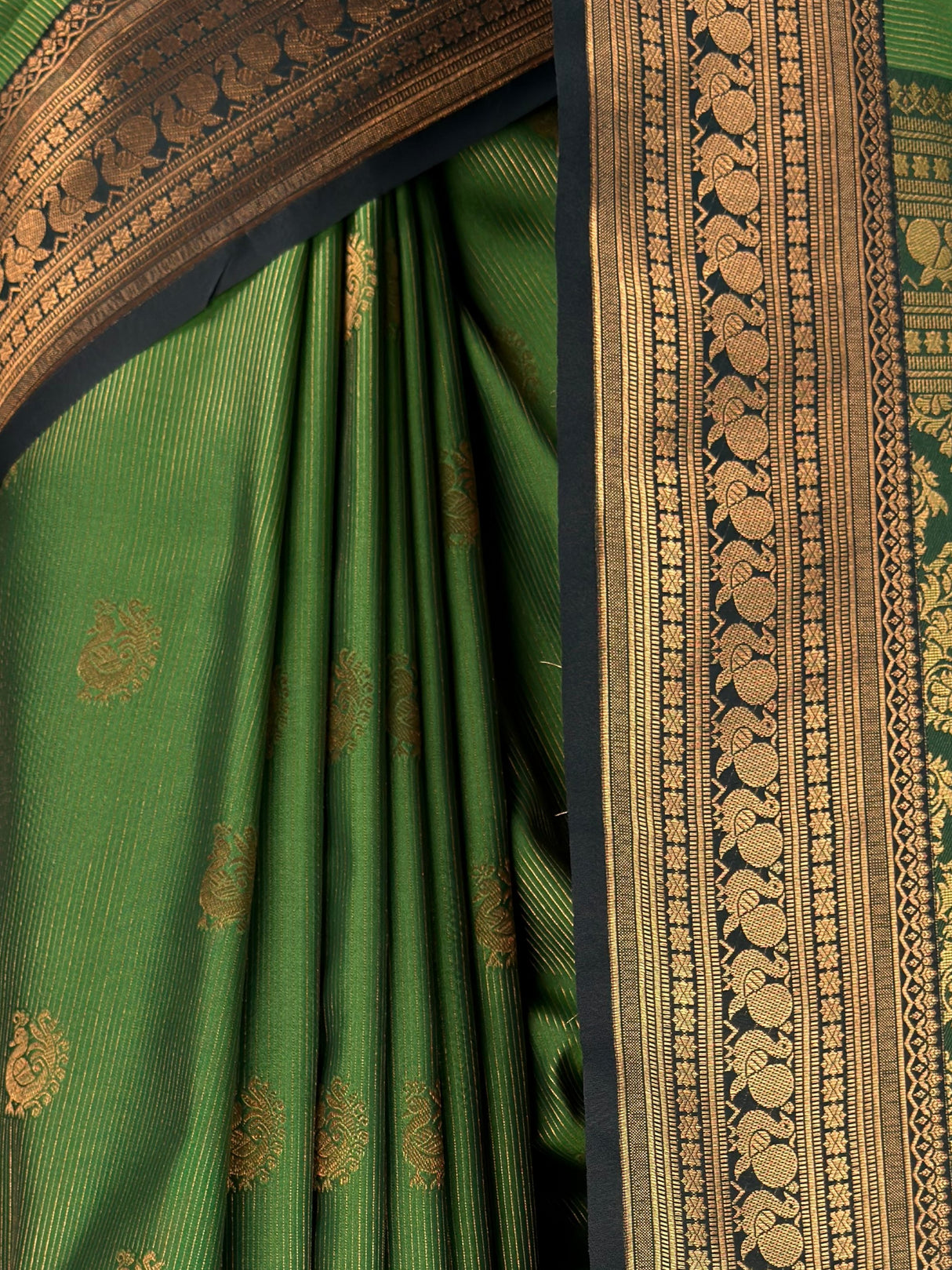 MIMOSA Green Saree Saree — fleets shot full lifestyle
