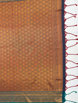 MIMOSA Maroon Saree Saree — pallu and zari work detail