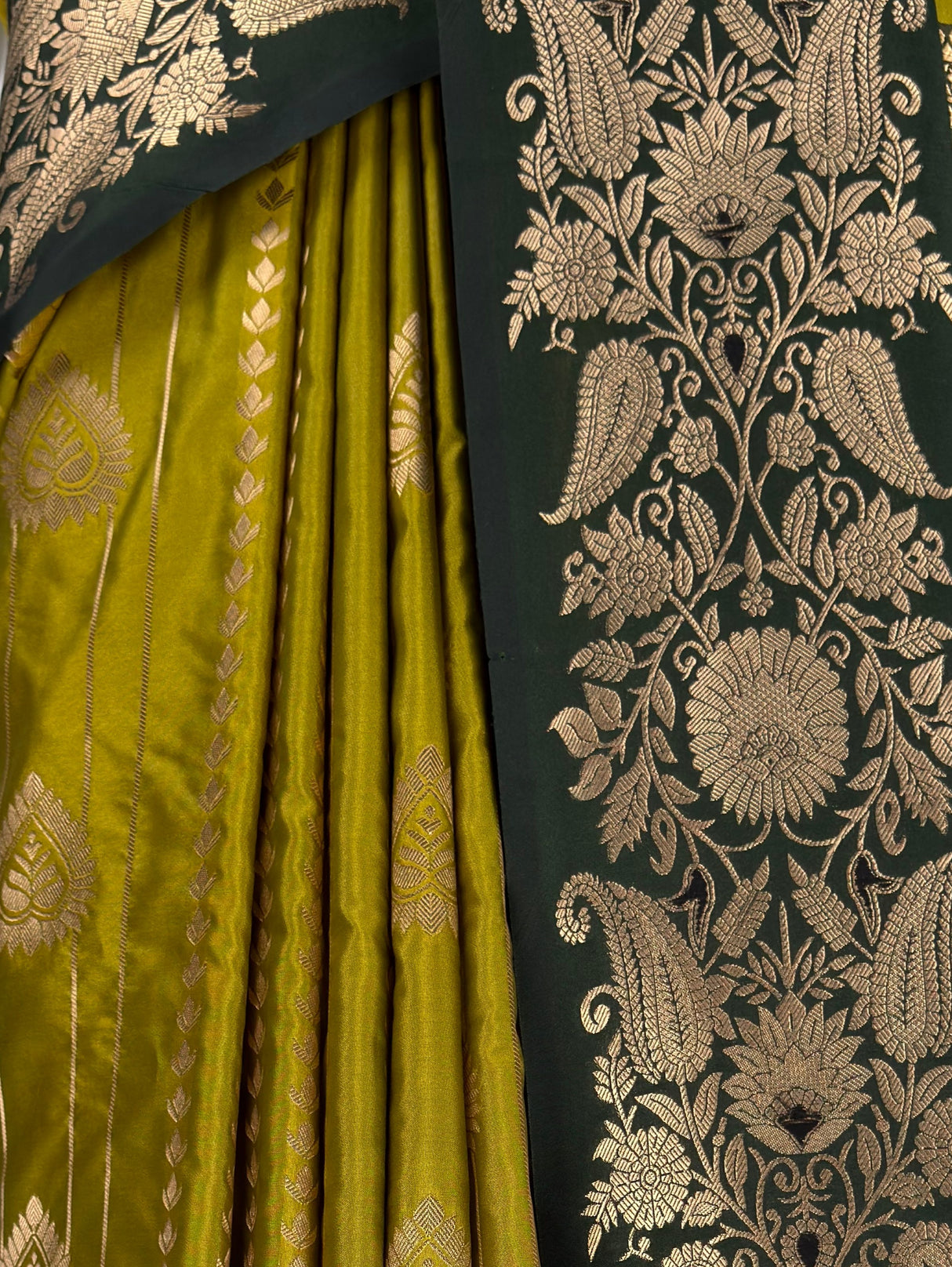 MIMOSA Pista Saree Saree — fleets shot full lifestyle