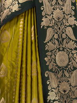 MIMOSA Pista Saree Saree — fleets shot full lifestyle