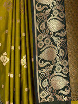 MIMOSA Pista Saree Saree — fleets shot full lifestyle