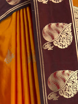 MIMOSA Mustard Saree Saree — fleets shot full lifestyle