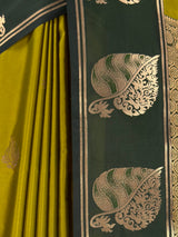 MIMOSA Pista Saree Saree — fleets shot full lifestyle