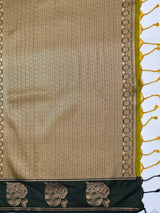 MIMOSA Pista Saree Saree — pallu and zari work detail