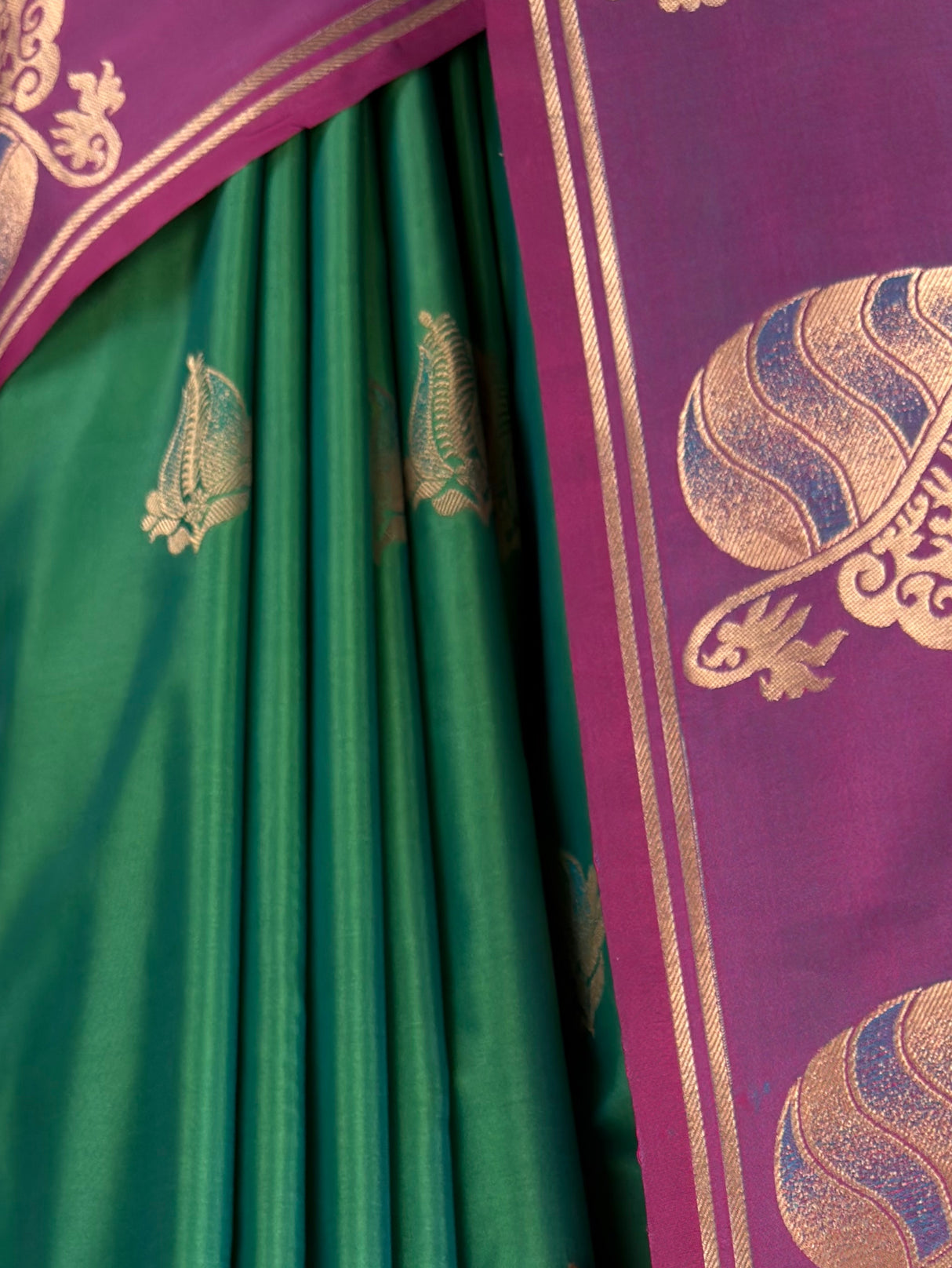 MIMOSA Rama Saree Saree — fleets shot full lifestyle