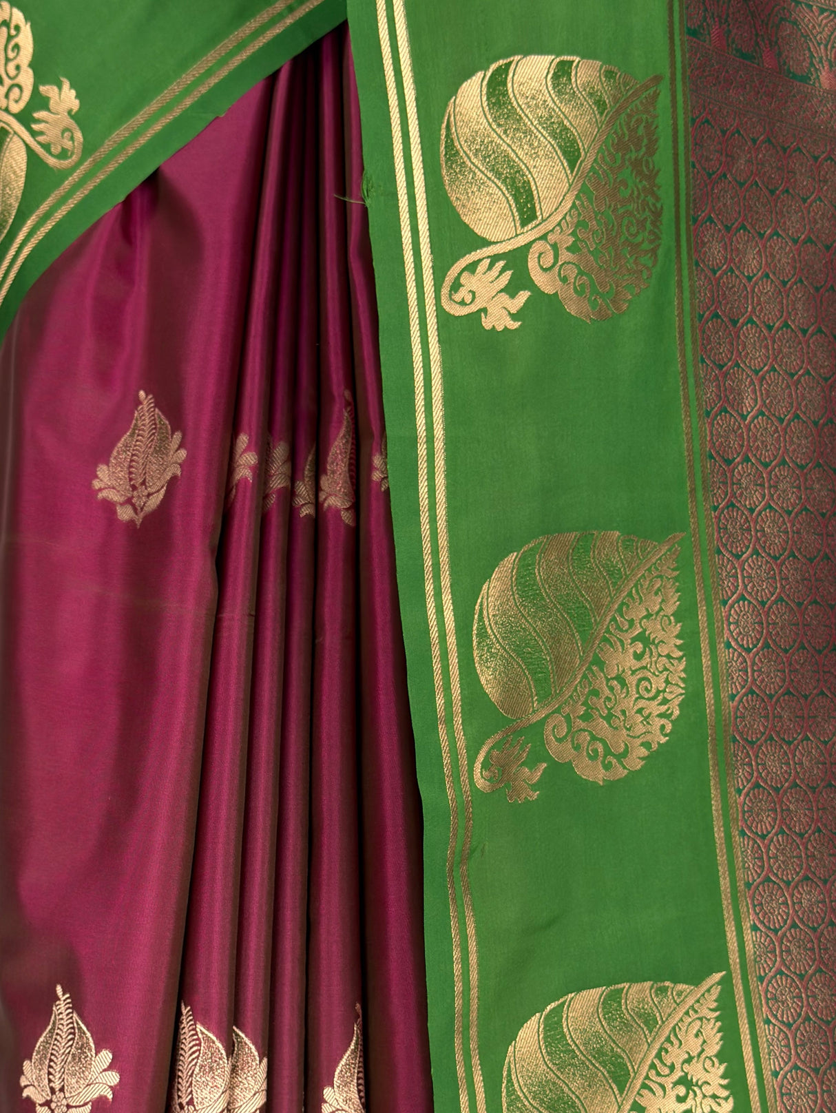 MIMOSA Wine Saree Saree — fleets shot full lifestyle