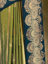 MIMOSA Pista Saree Saree — fleets shot full lifestyle