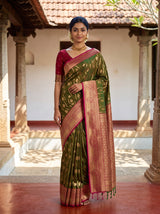MIMOSA Olive Saree Saree — front view on mannequin