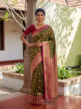 MIMOSA Olive Saree Saree — pose 4 styling detail