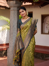 MIMOSA Pista Saree Saree — pose 10 styling detail