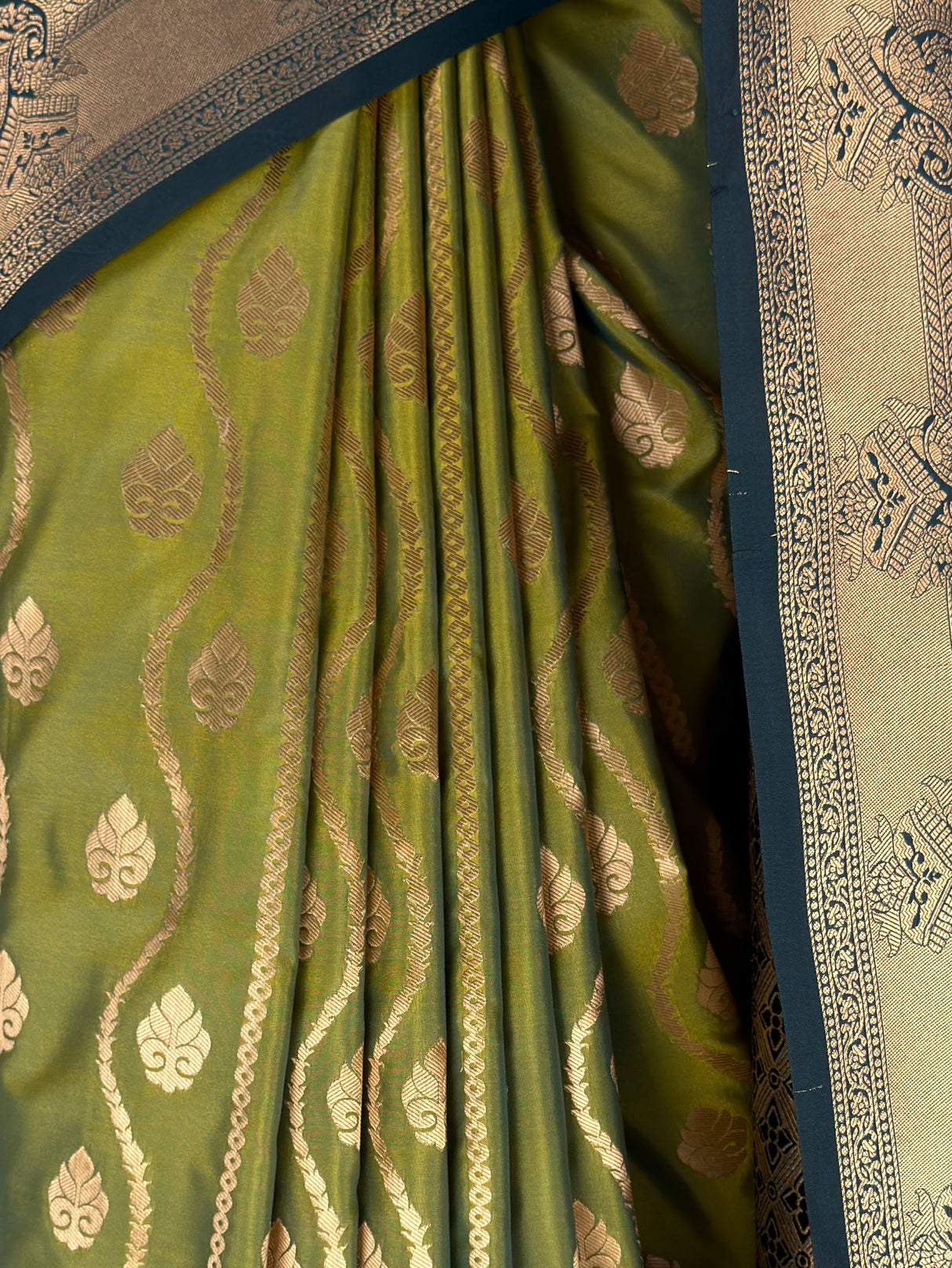 MIMOSA Pista Saree Saree — fleets shot full lifestyle