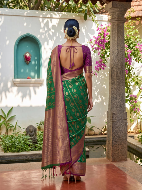 MIMOSA Rama Saree Saree — pose 2 styling detail