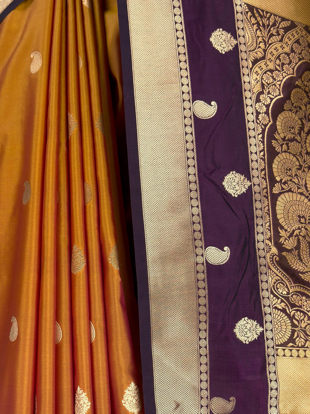MIMOSA Mustard Saree Saree — fleets shot full lifestyle