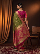 MIMOSA Olive Saree Saree — pose 2 styling detail