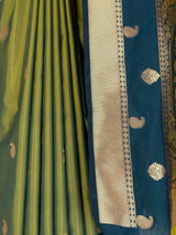MIMOSA Pista Saree Saree — fleets shot full lifestyle