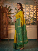 MIMOSA Olive Saree Saree — pose 5 styling detail