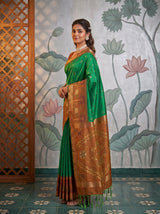 MIMOSA Rama Saree Saree — pose 5 styling detail