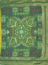 MIMOSA Olive Saree Saree — pallu and zari work detail