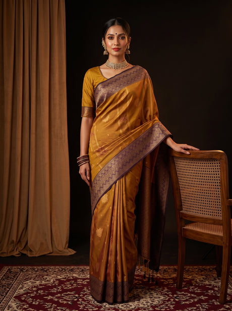 MIMOSA Rust Saree Saree — front view on mannequin